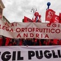 Ad Andria muore operaio agricolo in campagna, la rabbia di Flai e Cgil Bat