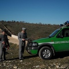Raccolta tartufi, controlli in tutto il territorio del Parco