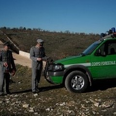 Parco Nazionale dell'Alta Murgia: nessun incendio nei boschi