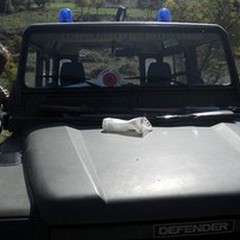 Controlli sulla caccia nella Murgia andriese