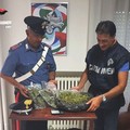  "Garage della droga ", blitz dei Carabinieri