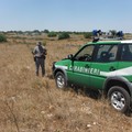 Campagna antincendi boschivi 2018: l'impegno dei Carabinieri forestali