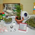 Coltivava marijuana in casa e confezionava cocaiana: arrestata 45enne
