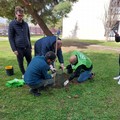 3Place dona alberi alla scuola primaria "Antonio Mariano "