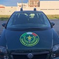 Rinvenuto cane ucciso da arma da fuoco nei pressi di Montegrosso