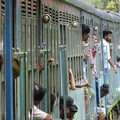 "Mera India ": a Fucina Domestica storie di viaggio con il fotografo Tomas Di Terlizzi