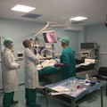Sanità pugliese: oggi Forza Italia presenta un comitato di salvataggio