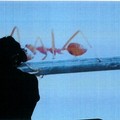 Festival Castel dei Mondi: "Macondo " di Silvia Mercuriali, a Mater Gratiae il 12 e 13 settembre