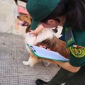 Al via le iscrizioni per un nuovo corso di guardie eco-zoofile