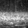 Pioggia e temporali in arrivo, con un benefico calo delle temperature