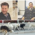 Fenomeno randagismo: un tavolo tecnico convocato dal Comune