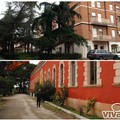 No alla svendita del Centro ricerche Bonomo, di Papparicotta e dell'Istituto Enologico