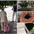 Potature, Montepulciano: "Eliminare alternativamente gli alberi, in modo da creare spazio "