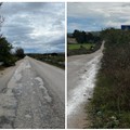 Fareambiente denuncia lo stato di abbandono della “Mediana delle Murge”