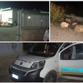 Incursione in un deposito agricolo in contrada Monachelle
