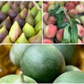 Caldo africano: aumenta il disagio per circa mezzo milione di pugliesi che soffrono di insonnia