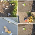 Zona PIP invasa dai rifiuti delle attività della ristorazione presenti in via Trani