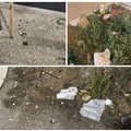 Tra rifiuti e deiezioni canine, ecco come appaiono i giardinetti di piazza Bersaglieri d'Italia