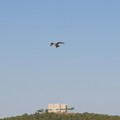 La natura offre la sua bellezza, seminario del Lions "Castel del Monte "