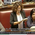 Salute, on. Ruggiero (M5S):  "Dispositivi per diabete vengano messi a disposizione dei pugliesi "