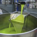Salute: Olio extravergine alleato di sport e dieta, può aiutare a “bruciare i grassi” se usato nel modo giusto