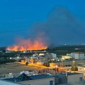 Incendio di sterpaglia manda in fumo 5 ettari