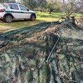 Sventato furto di quattro quintali di olive nella campagne di Andria