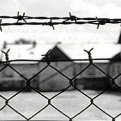 Giorno della Memoria: l'orrore di Auschwitz in tempi moderni