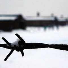 “Giorno della memoria ": iniziativa promossa dall'Istituto Archimede