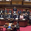 Crisi di governo, Cia Puglia: “Tutto azzerato e l’agricoltura muore”