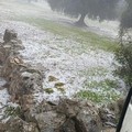 Meteo: bollettino di guerra nelle campagne in Puglia, con nubifragi, gelate e grandinate violente