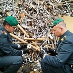 Reati ambientali, 113 andriesi denunciati dalla Gurdia di Finanza