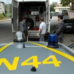 Emergenza neve, Coldiretti preoccupata aumento prezzi, Finanza vigila nei mercati
