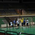 Pallamano, la Gymnica Sveva Andria non sbaglia al  "Palasport ": Ginosa battuto 27-19