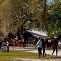 A cavallo passando per Castel del Monte, per dimostrare che ogni sfida può essere vinta