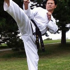 Taekwondo, seminario a Barletta con il senior master Hwang