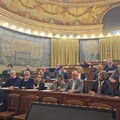Extravergine di oliva, passi in avanti in un incontro al Ministero dell'agricoltura