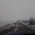 Nevica in Puglia sugli uliveti e sui mandorli fioriti: forti raffiche di vento gelido sferzano alberi e campagne