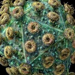 Il farmaco che può sconfiggere l'AIDS