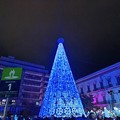 La Festa dell'Accensione del grande Albero avvia il Natale di Andria
