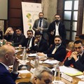 L'allarme di Coldiretti: «I frantoi di Puglia potrebbero chiudere nel giro di un anno. Solo nella Bat 84»