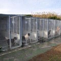 Canile  "Favullo ": sempre più drammatica la situazione