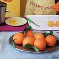 Feste natalizie e dieta: abbuffate alla tavola ma con sospensione dell'attività sportiva