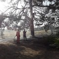 Incendio a Lama di Carro; sul posto Federiciani e Vigili del Fuoco