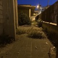 Ancora inascoltate le richieste dei residenti per vedere ripulito l'ex carcere mandamentale