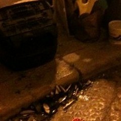 La paura di non poter più gettare i rifiuti