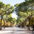 Anche la villa comunale, come tutti i parchi urbani, chiusa fino al 3 aprile