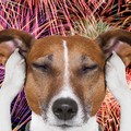 #ButtaIBotti, Capodanno di festa e non di tragedia