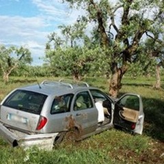 Auto contro albero sulla provinciale "Andria-Bisceglie "