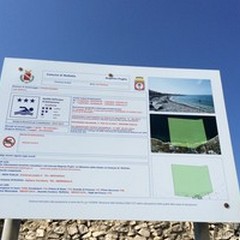 Oasi naturale di Torre Calderina, patrimonio tutelato con i privati